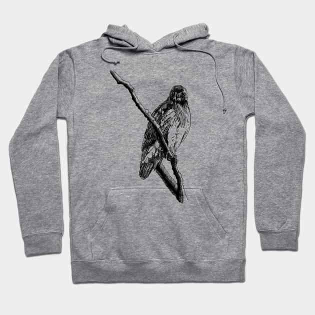 Hawk Ink Drawing Hoodie by Fireside Press